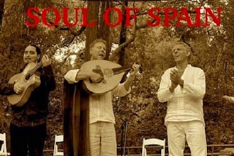 Soul of Spain: Live Music